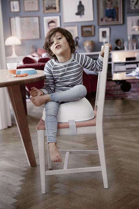 Actual product image BabyBjörn booster seat (Table seat)