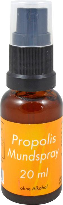 Produktbild Allcura Propolis Mundspray, 20 ml Lösung (20 ml, Mundspray)