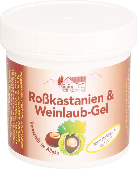 Axisis Pullach Hof Rosskastanien & Weinlaub-Gel, 250 ml Gel (Körpergel, 250 ml)