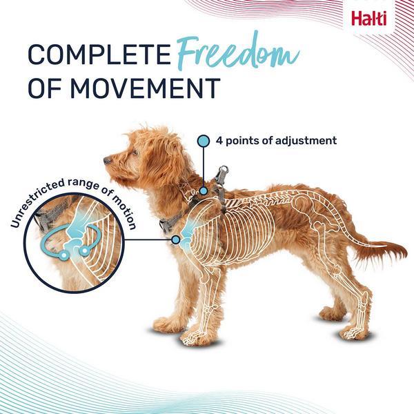 Produktbild Company of Animals Halti Anatomy XXS Welpengeschirr (XXS, Hund)