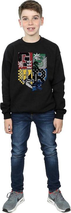Actual product image Sweatshirt boys (116)