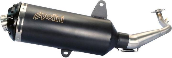 Actual product image Polini Sym 125 Gts I Evo 2006>2007, Joymax 2006>2007 Homologue CE