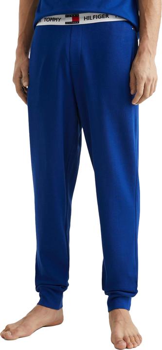 Actual product image Tommy Hilfiger Pants Lwk (L)