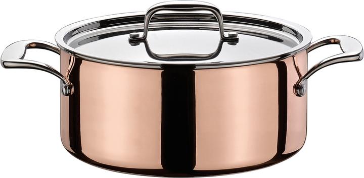 Image du produit Spring Cocotte basse avec couvercle (24 cm, Cocotte + faitout, Acier inoxydable)