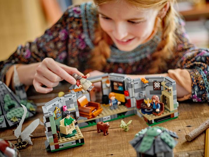 Produktbild LEGO Hagrids Hütte: Ein unerwarteter Besuch (76428, LEGO Harry Potter)