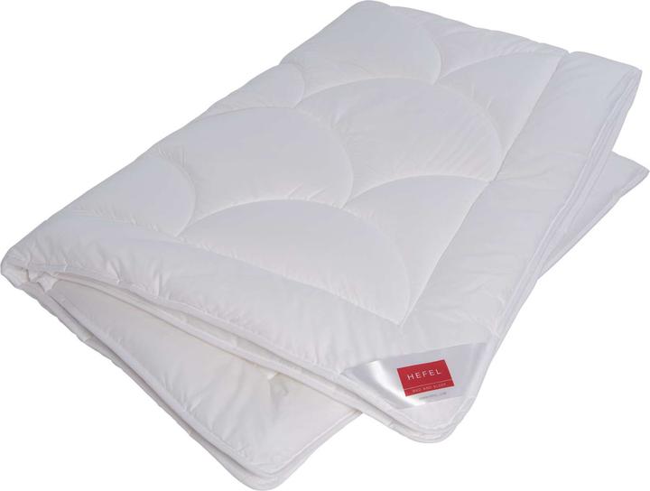 Immagine prodotto Hefel Edizione Tencel 101 (540 g, 160 x 240 cm)