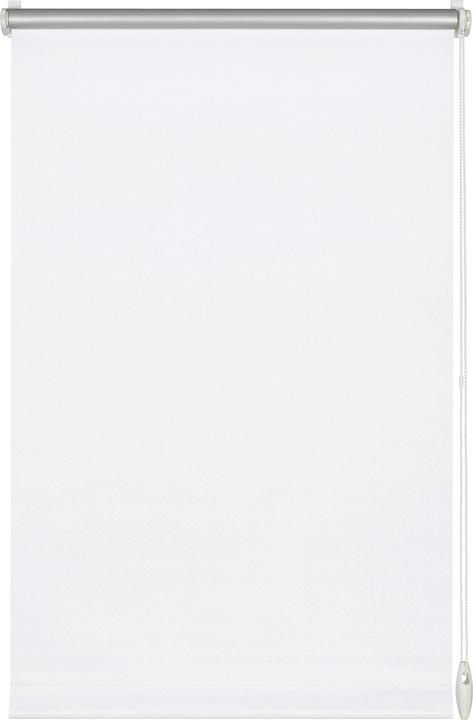 Image du produit Gardinia EASYFIX Rollo Thermo ÉCONOMIE D'ÉNERGIE (100 x 210 cm)