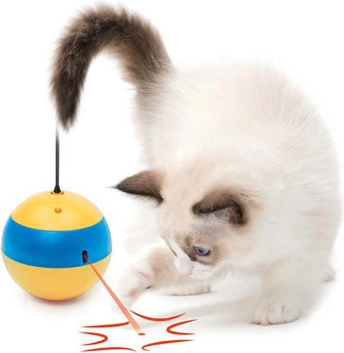 Image du produit Catit Tumbler Bee Laser Toy - (787.0022) (Jouets avec herbe à chat)
