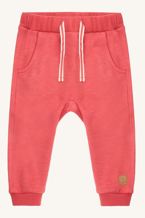 Mirtillo rosso