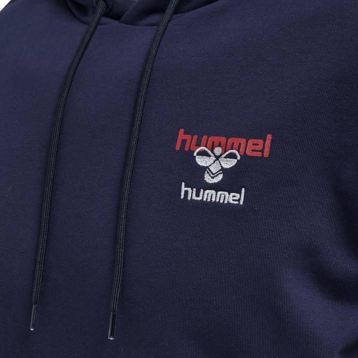 Actual product image hummel Ic Dayton Hoodie (S)