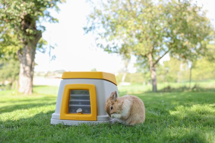 Actual product image Kerbl Bunny Base rabbit house without a continent