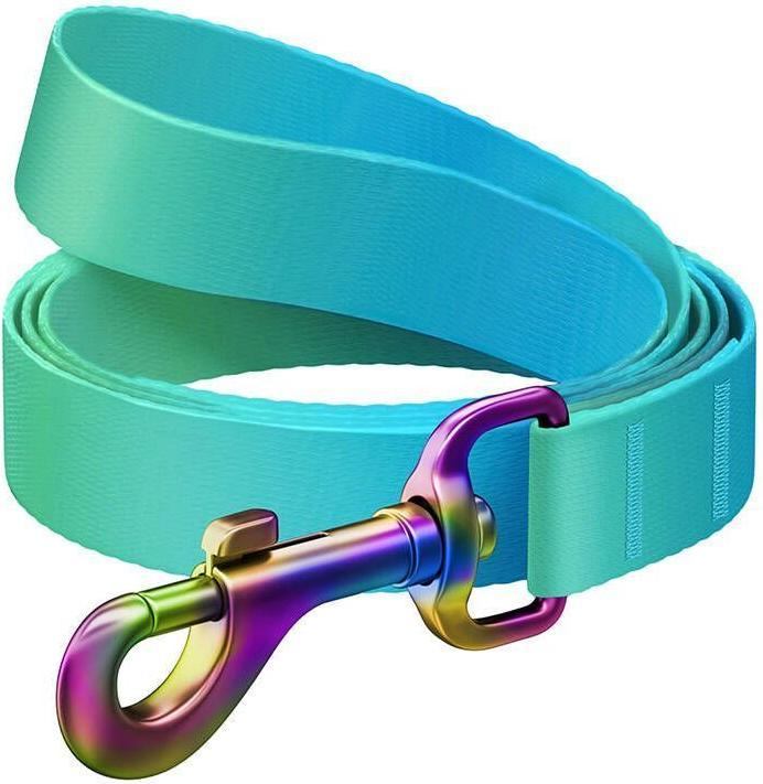 Produktbild Waudog gradient nylon dog leash, 20 mm wide, 122 cm long blue (M, Hund, Allgemein)
