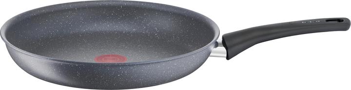 Actual product image Tefal TEF Pan 20cm (20 cm, Pan set + pot set, Aluminium)