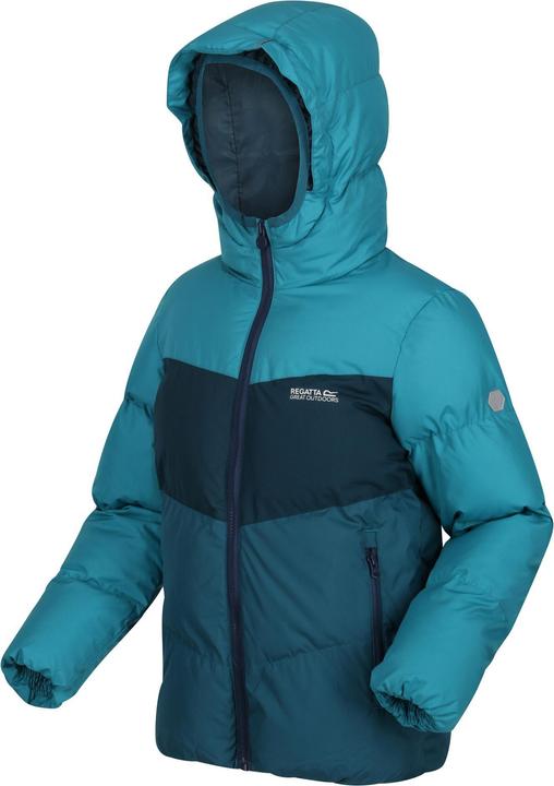 Actual product image Regatta Lofthouse Vi Insulated Jacket (104)