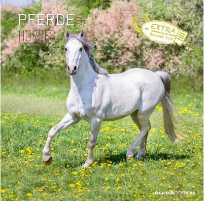 Immagine prodotto Alpha Edition Calendario brochure Cavalli 2025, 30x30cm, calendario da parete con spazio per appunti e (30 x 30 cm, Copertina rigida, Tedesco)