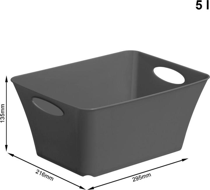 Immagine prodotto Rotho Livingbox (21,6 x 13,5 x 29,5 cm, 5 l)