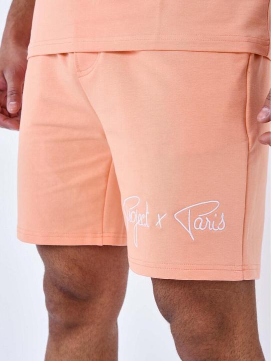 Immagine prodotto Project X Paris pantaloncini di base con ricamo del logo (XL)