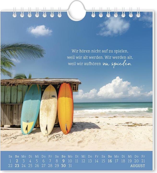 Image du produit Postkartenkalender 2026 Strandgut (16 x 17 cm, Allemand)