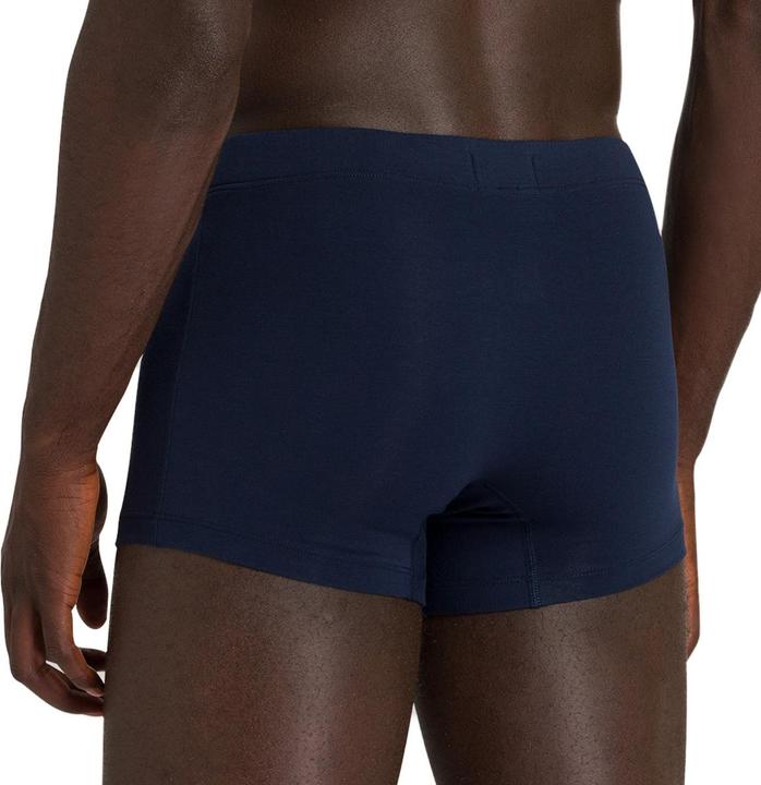 Actual product image Hanro 2 Pack Cotton Essentials Retro Short / Pant (XL, pack of 2)