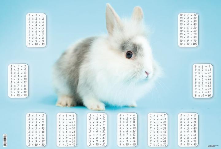 Produktbild Eibert Visual Bunny (40 x 60 cm)