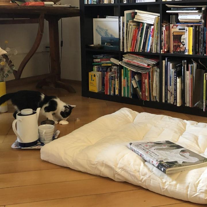 Produktbild Europe & Nature Futon In A Bag (90 x 200 cm, Naturkern)