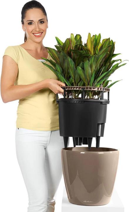 Immagine prodotto Lechuza Classico (22 cm)