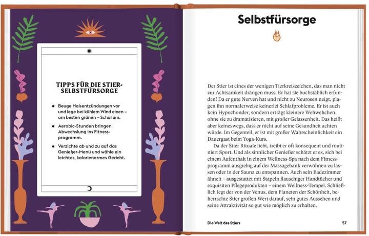 Actual product image Stier (German, Stella Andromeda, 2021)