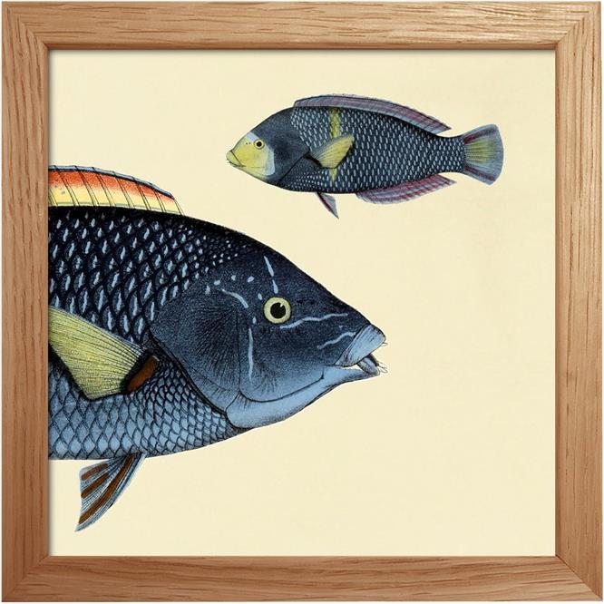Immagine prodotto pfister Botanical (15 x 21 cm)