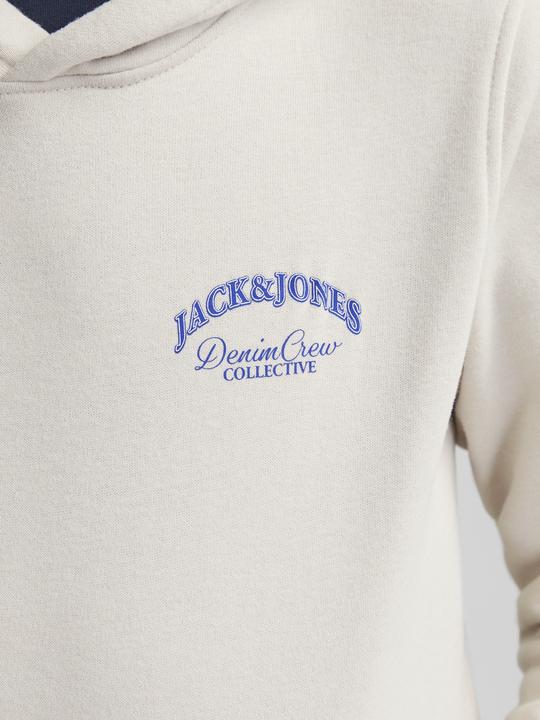 Produktbild Jack & Jones Jjebrandes Backp Relaxed Sweat H Sn Jnr (164)
