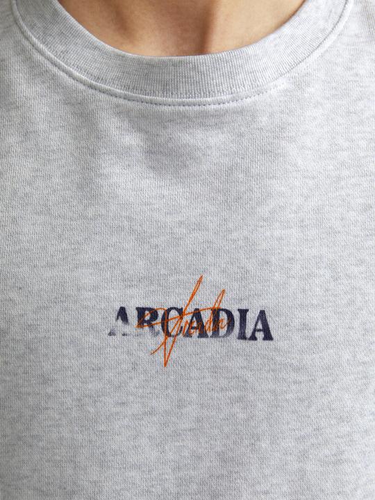 Produktbild Jack & Jones Jjecharge Graphic Sweat O-N Styd Aw24 Ln (XXL)