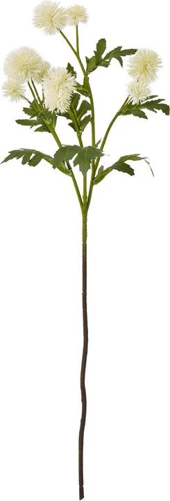 Immagine prodotto Hill Interiors Cardo Mariano Spray Fiore Artificiale (56 cm)