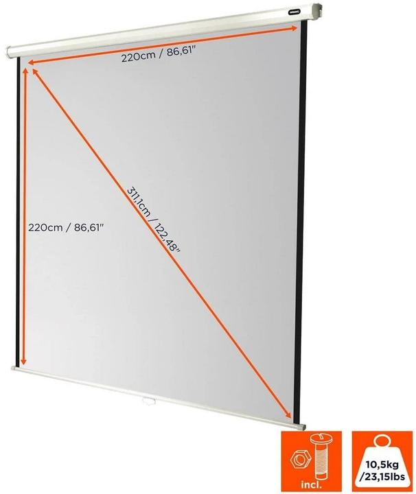 Actual product image Celexon Rollo Economy (122.44", 1:1)