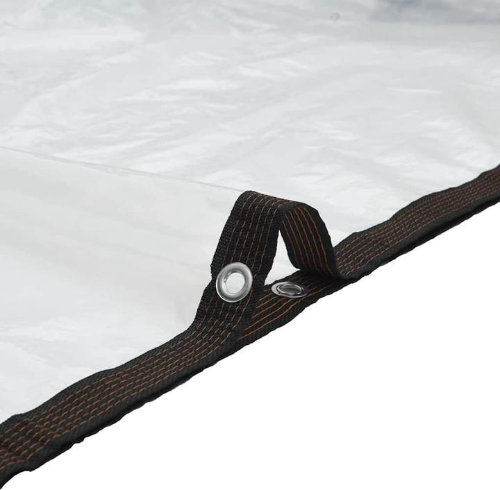 Produktbild VidaXL Transparente Plane mit Ösen 6x12 m Polyethylen durchsichtige Plane (600 x 1200 cm)