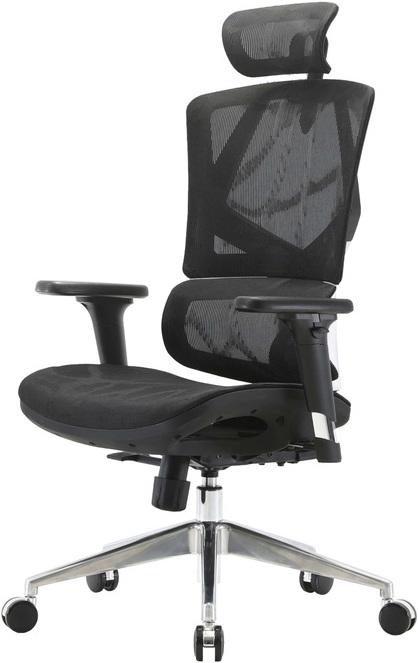 Actual product image Swisshandel24 Sihoo