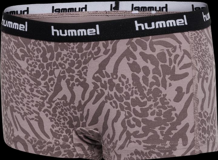 Actual product image hummel Hmlcarolina Hipsters 2-Pack (104, pack of 2)