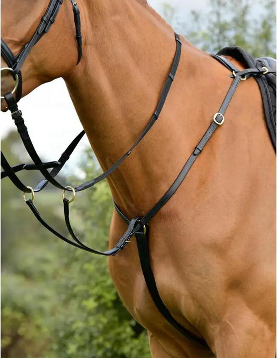 Actual product image Kincade 3-point breastplate with running martingale