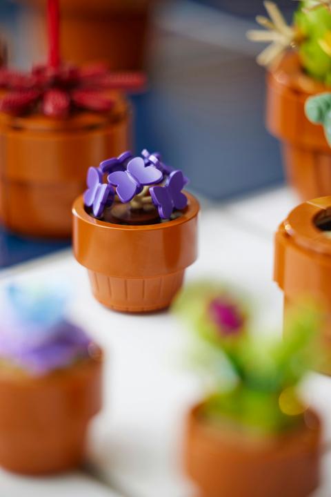 Produktbild LEGO Mini Pflanzen (10329, LEGO Botanical, LEGO Icons)