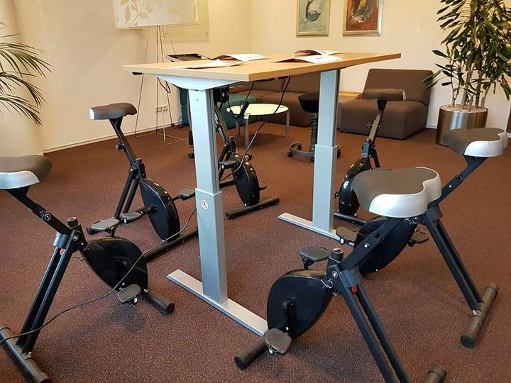 Actual product image Deskbike Desk Bike, white, white frame large