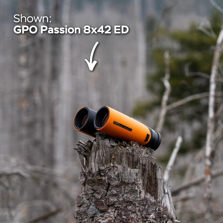 Image du produit GPO Passion 8x32ED Verrekijker Oranje
