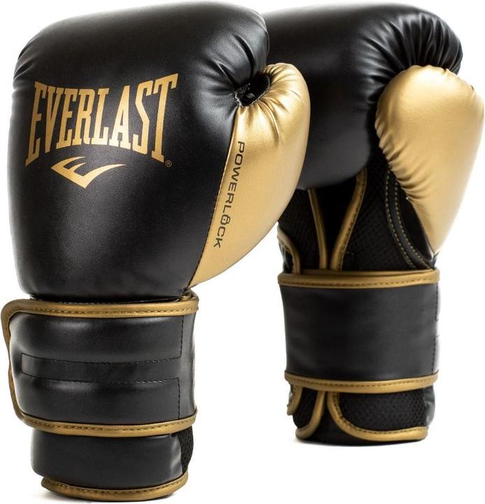 Everlast Powerlock 2R Training Gloves (14 OZ)