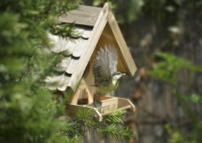 Image du produit Windhager Silo à nourriture pour oiseaux Villa