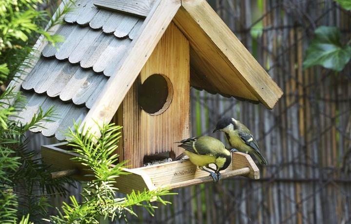 Image du produit Windhager Silo à nourriture pour oiseaux Villa