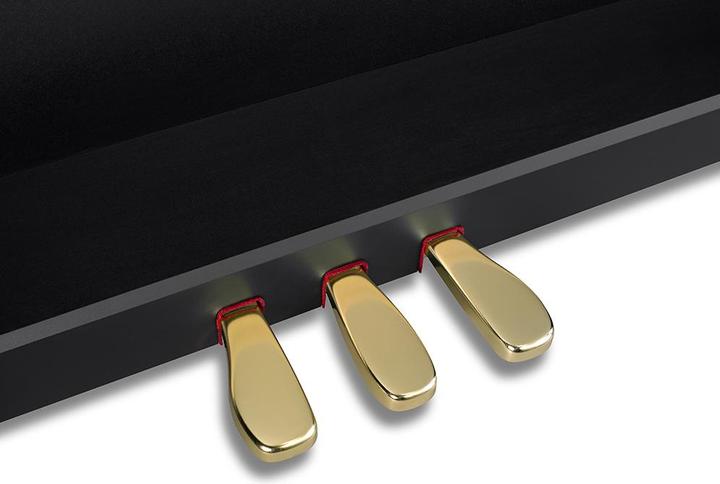 Image du produit Casio Piano électrique CELVIANO Grand Hybrid GP-310BK noir (88 Boutons)