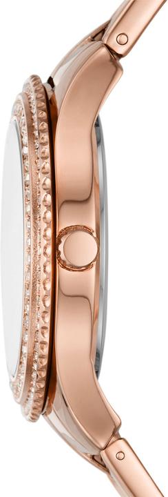 Actual product image Fossil Stella (Analogue wristwatch, 37 mm)