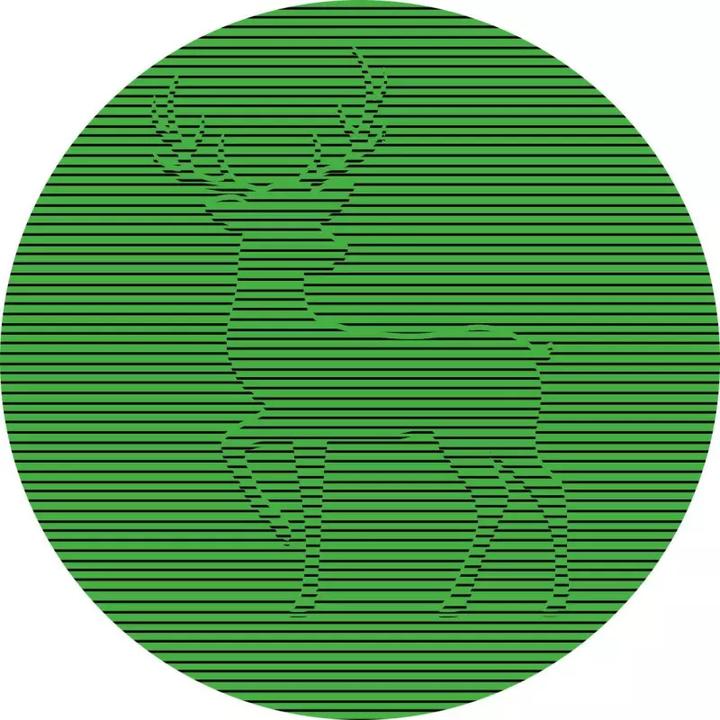 Image du produit 24 illusions d'optique