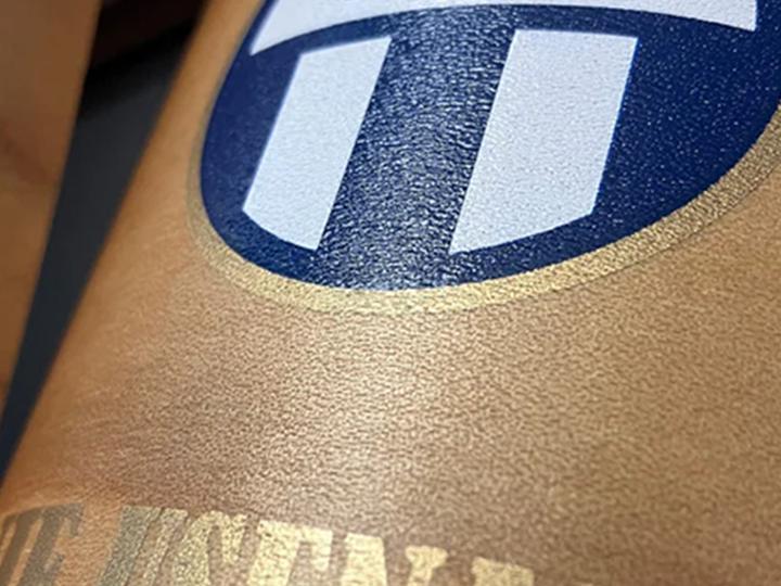 Image du produit Woodpads Protège-tibias FCZ (M)