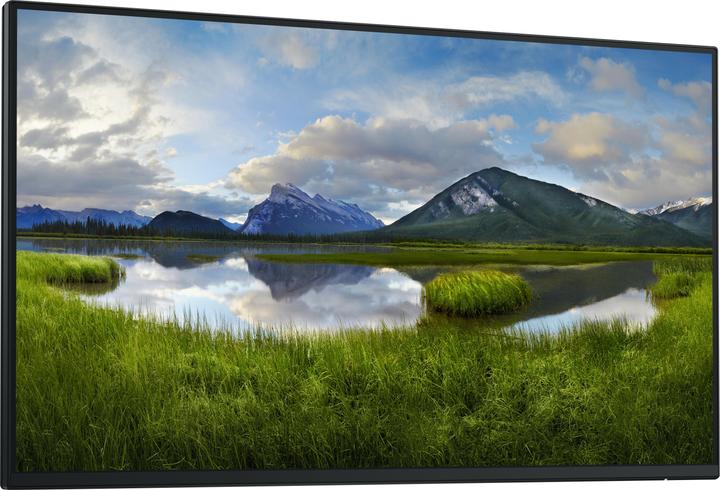 Dell P2425HWO (1920 x 1080 pixels, 24")
