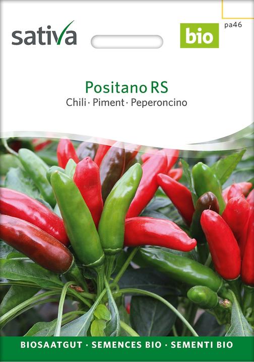 Actual product image Sativa Positano RS – Chilli Bio (Vegetable seeds)