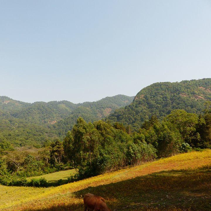 Produktbild La Semeuse Dulli Ethiopia Bio (250 g)