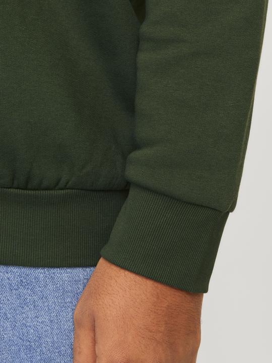 Image du produit Jack & Jones JJELOGO SWEAT HOOD 2 COL 24/25 NOOS PLS (5XL)